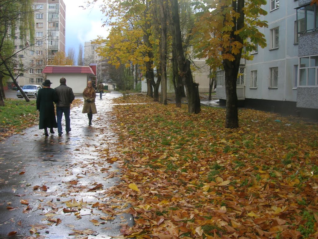 улочки Курчатова
