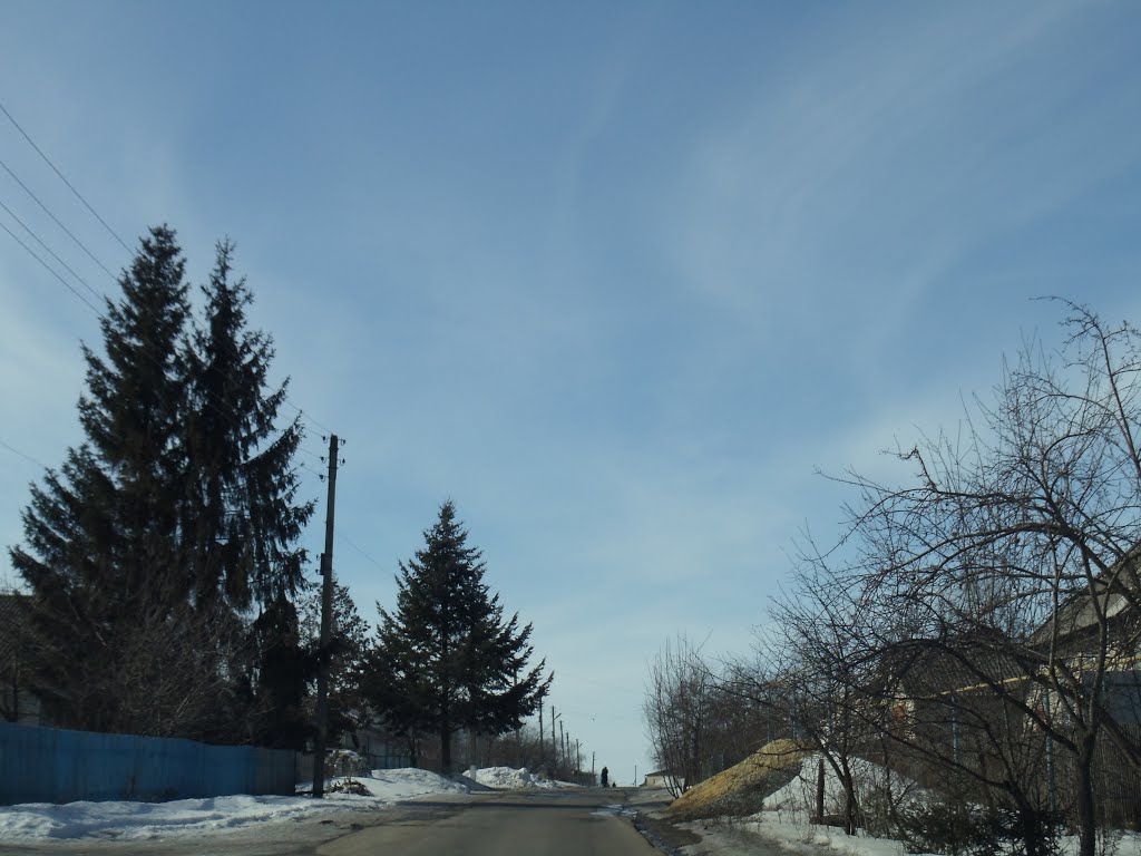 Улица Дорожная .