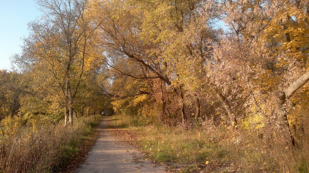 Тропинка в Барятинском парке