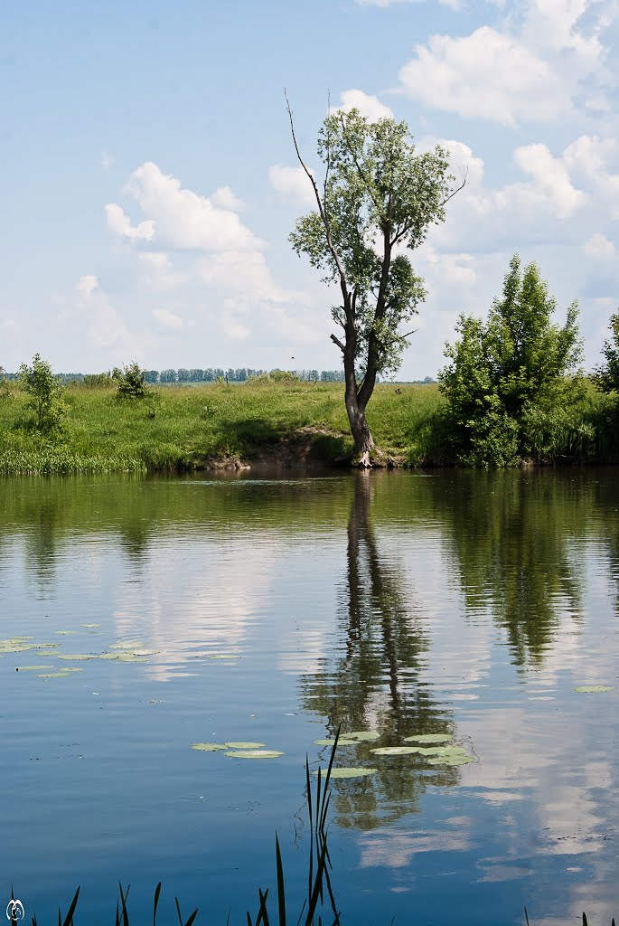 river Seijm