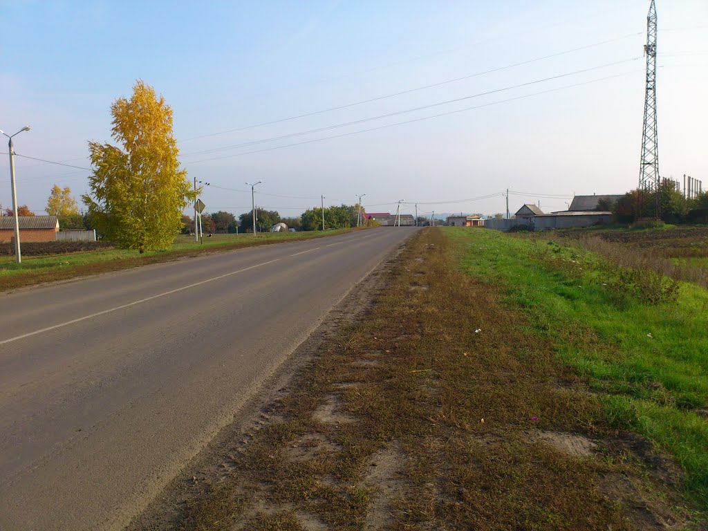 Западный въезд в Медвенку.