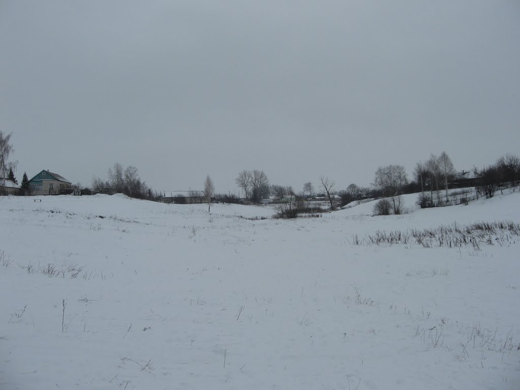 Поныровский луг (январь 2011)