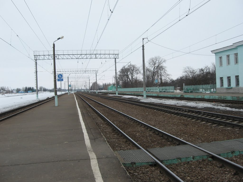 Вид с вокзала в сторону г. Курск (март 2011 г.)