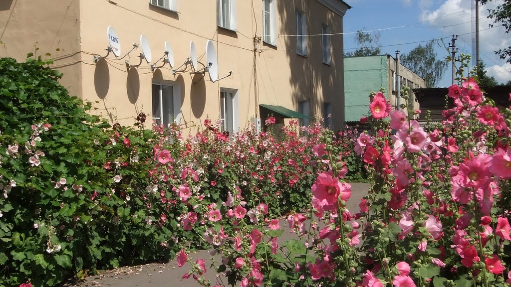 Поныри. Мальва