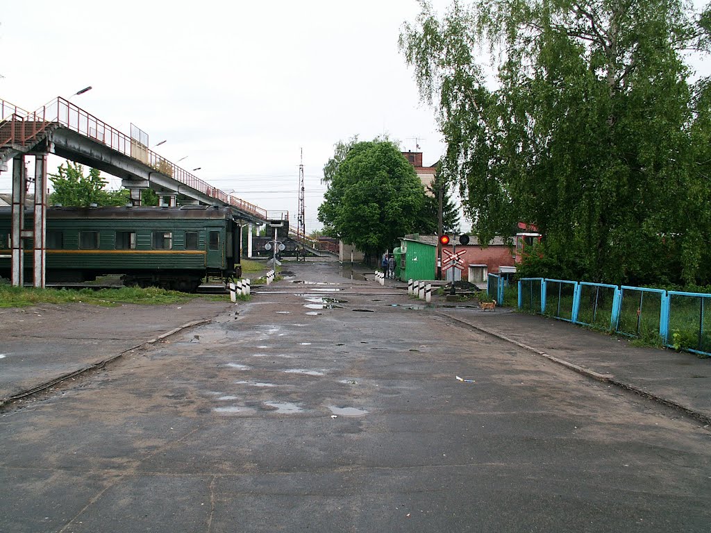 На станцию Ржава