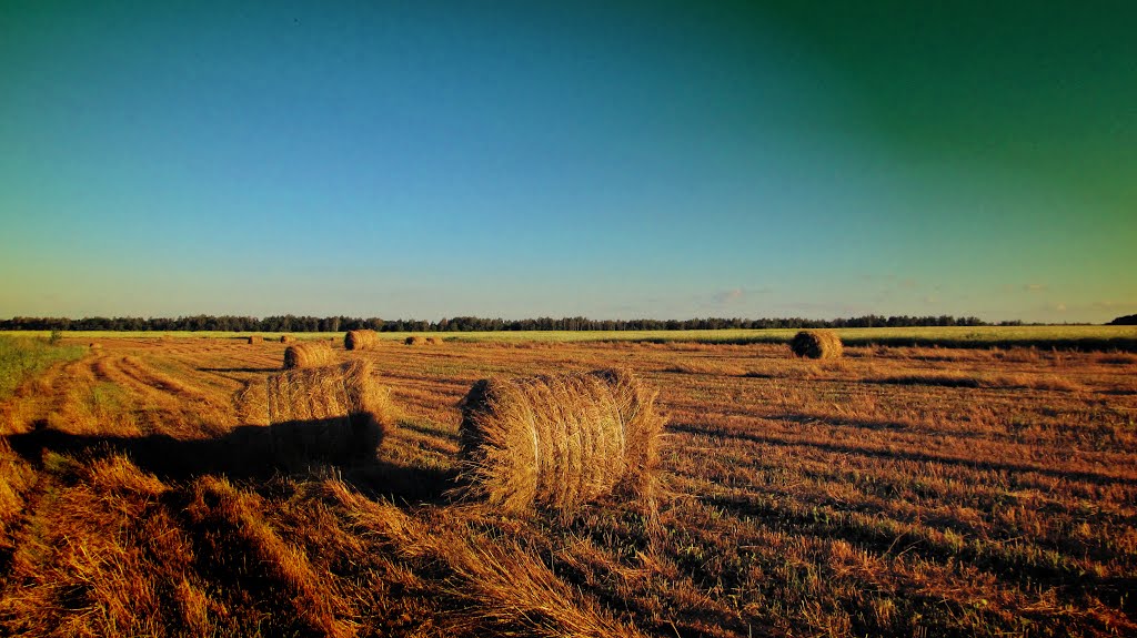 In the field