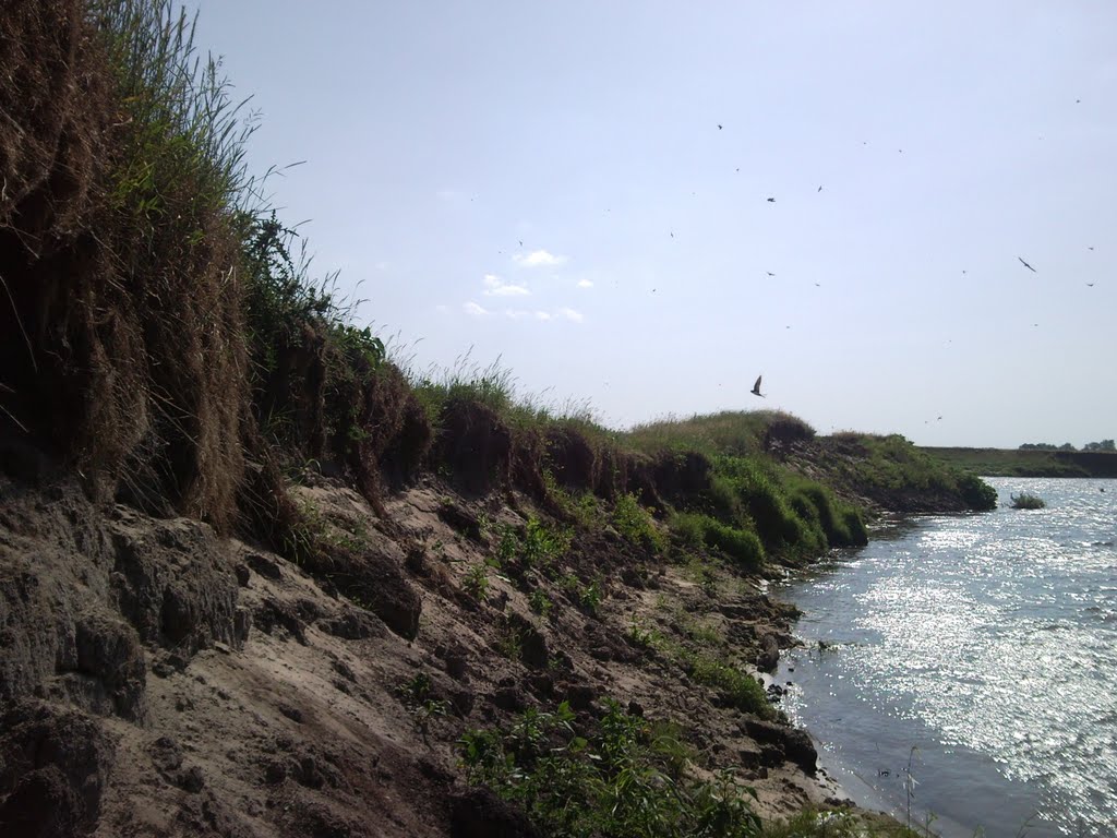 Russia. Kursk region. The river Seym.
