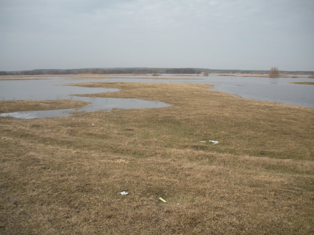 Сейм 1