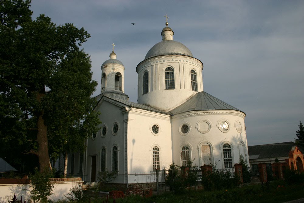 Свято - Троицкий храм foto-planeta.com