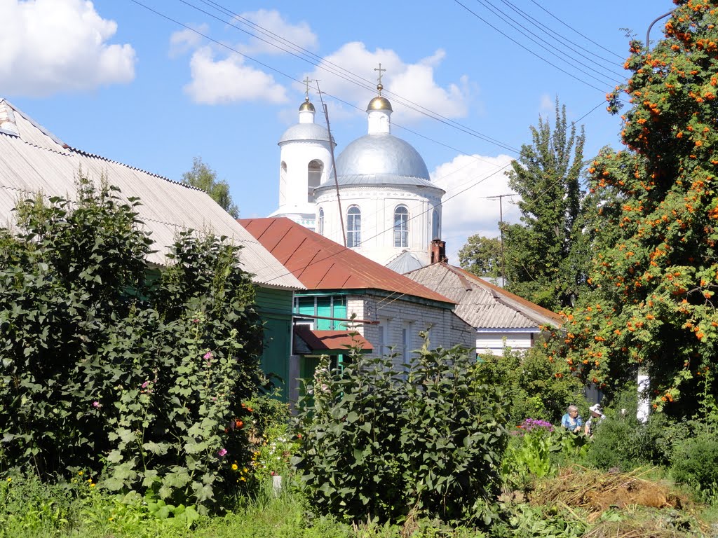 755.Троицкая церковь на горизонте.