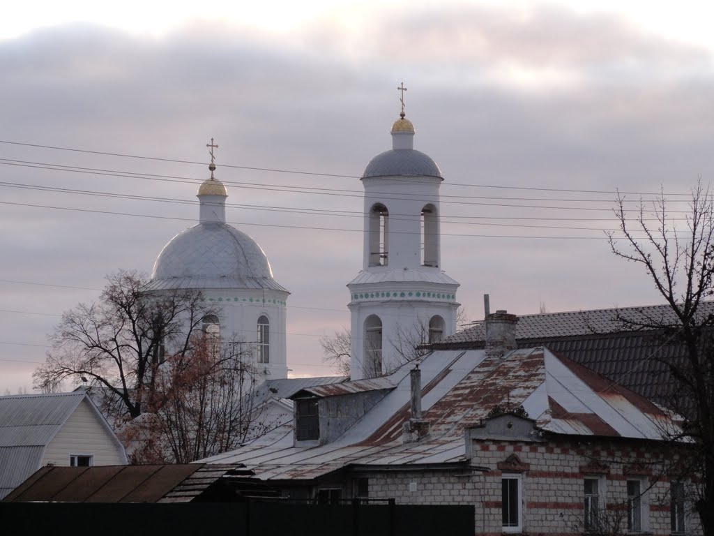789.Пасмурный ноябрьский день в Судже.