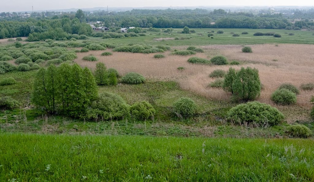 "Гусинец".