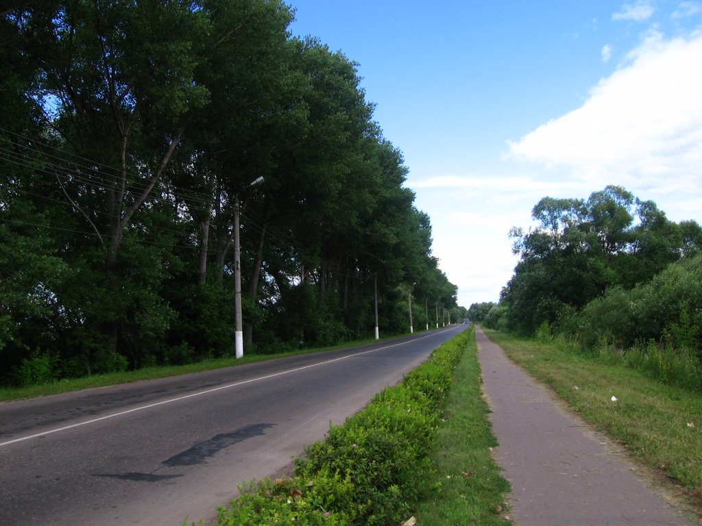 "Dam" (road between two parts of Sudzha leading across moorland) - Дамба