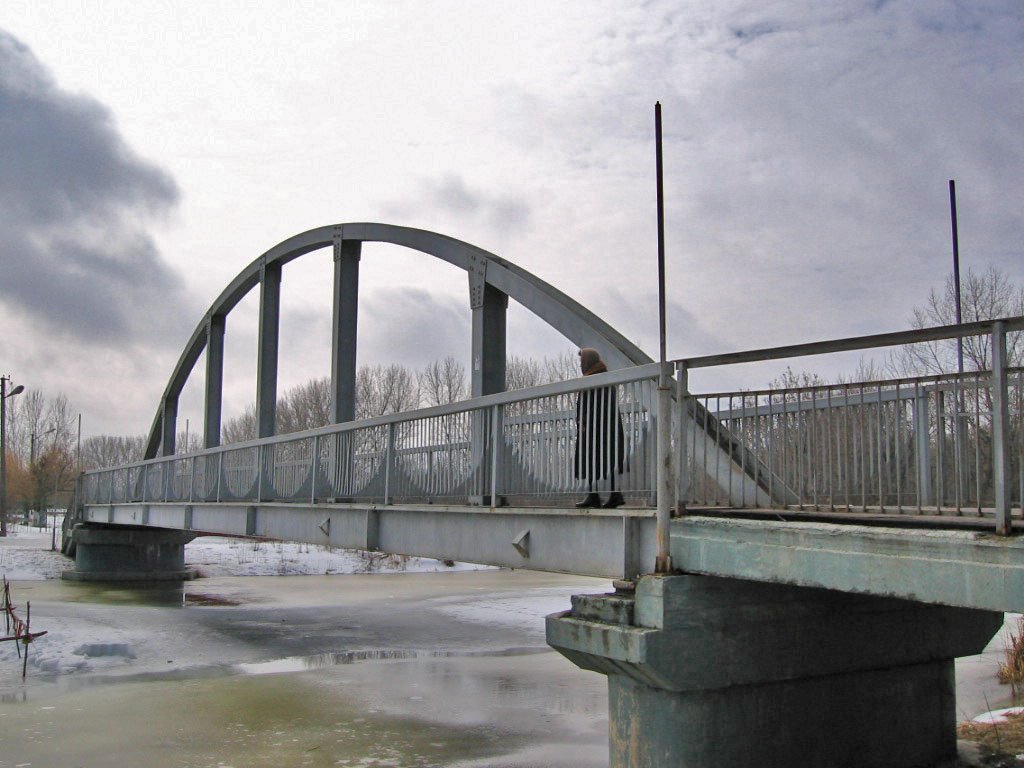 pedestriam bridge across Sudzha river (пешеходный мост через реку Суджа)