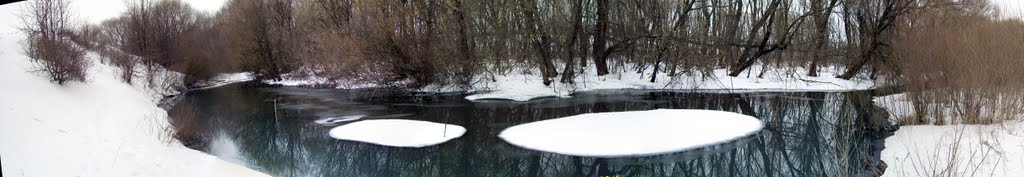 Панорама р.Тим зимой