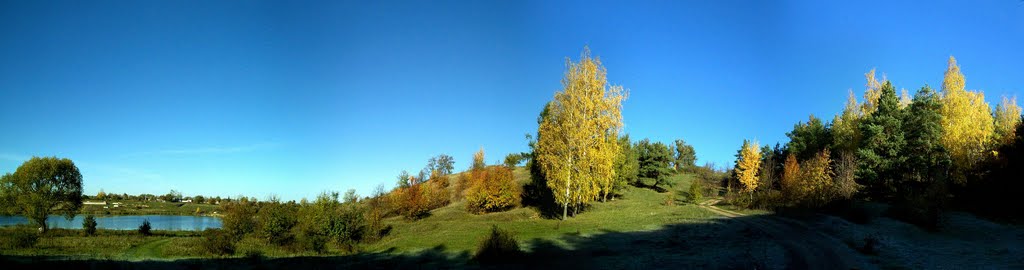 Панорама берёзки в октябре 2010