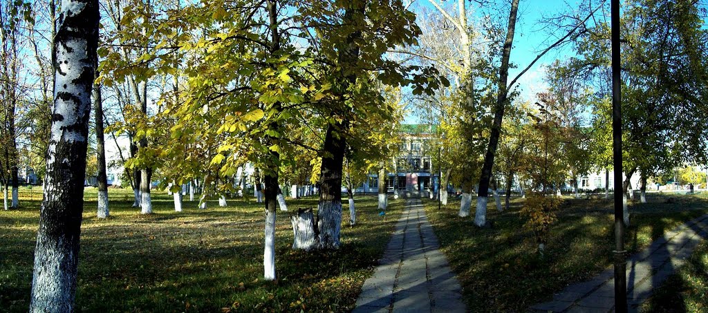 Парк в октябре 2010г. 2