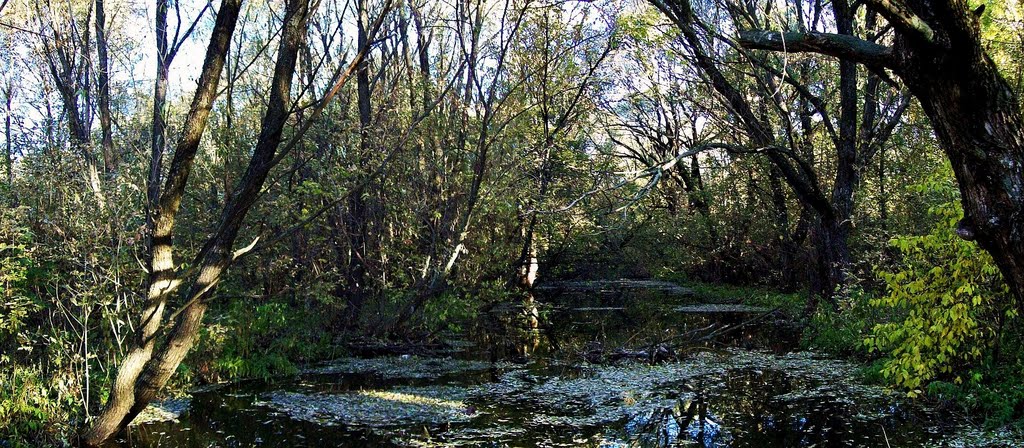 р.Тим октябрь 2010г.