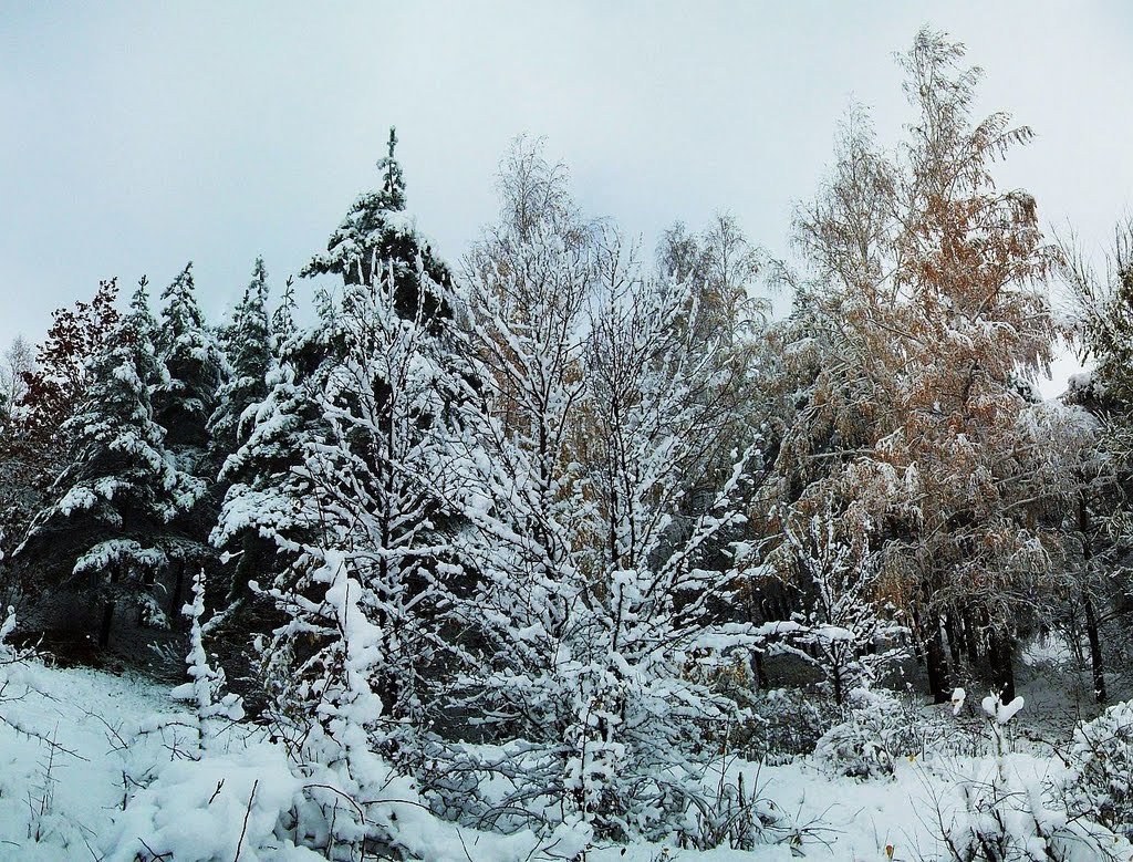 Первый снег 3  The first snow