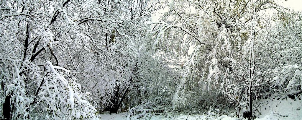 Первый снег октябрь 2010г.