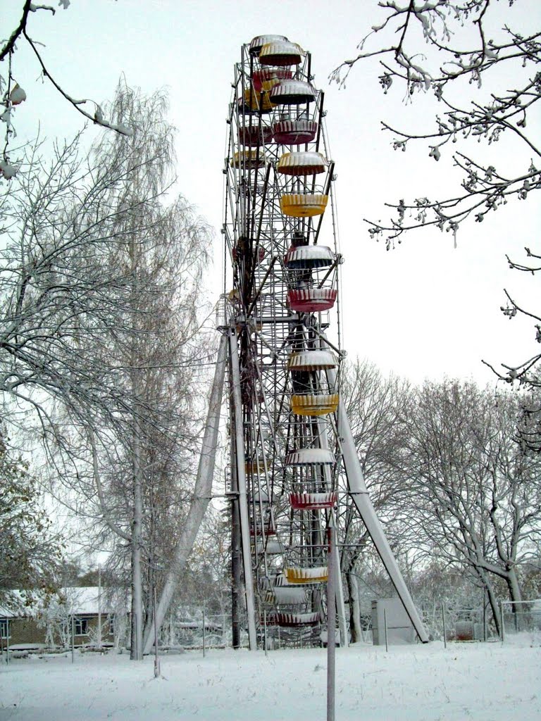 Колесо первый снег октябрь 2010г. 2