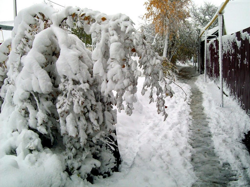 ул.Ленина первый снег октябрь 2010г. 3