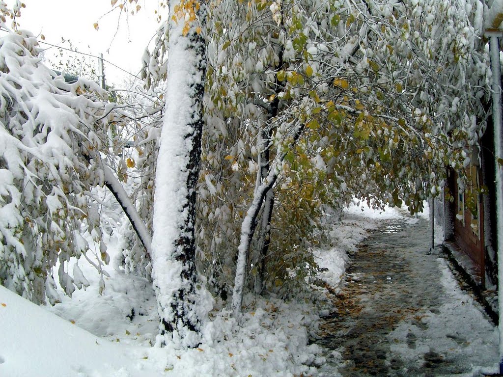 ул.Ленина первый снег октябрь 2010г. 2