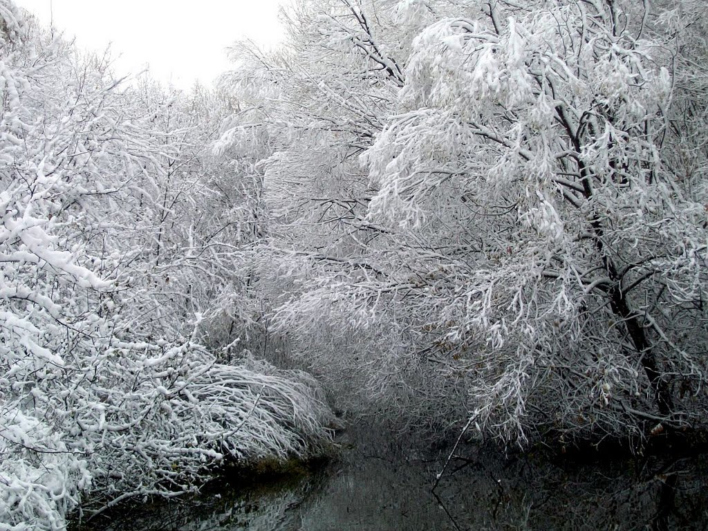 р.Тим первый снег 2010г.