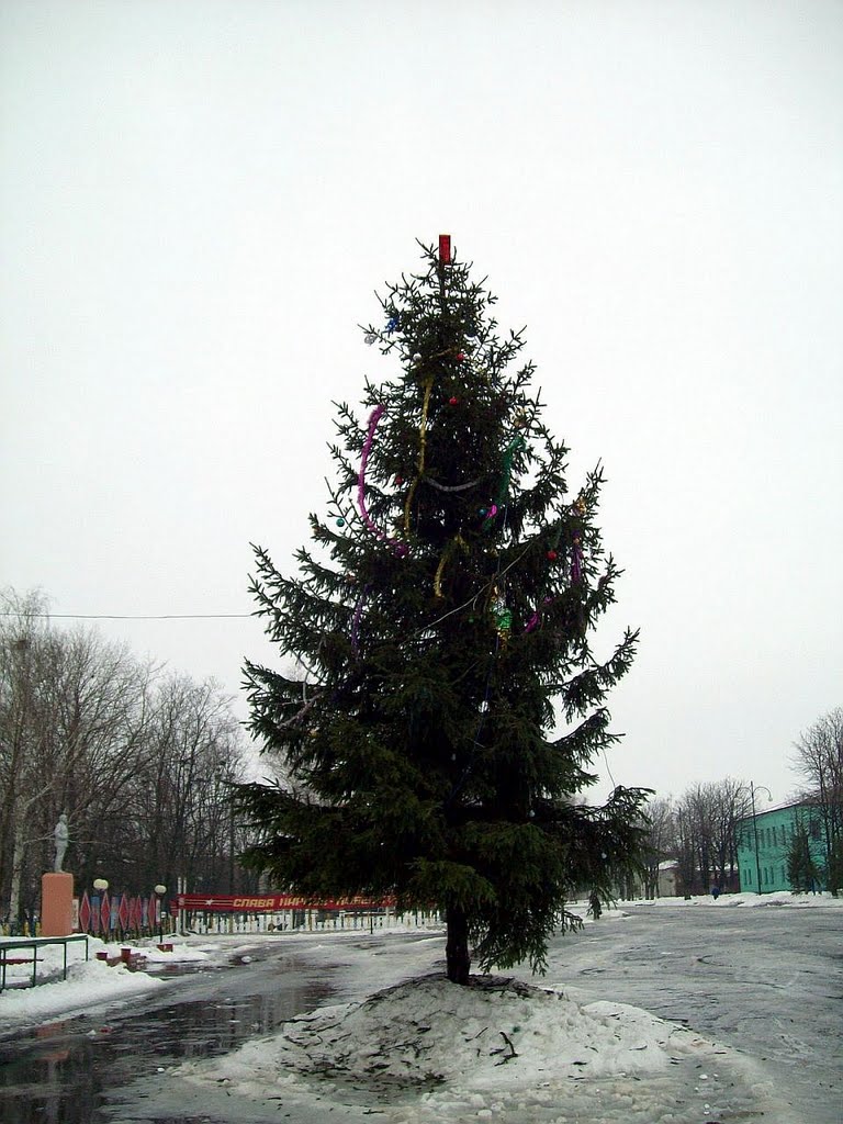 Merry Christmas and Happy New Year to all friends Panoramio  25.12.2010г.