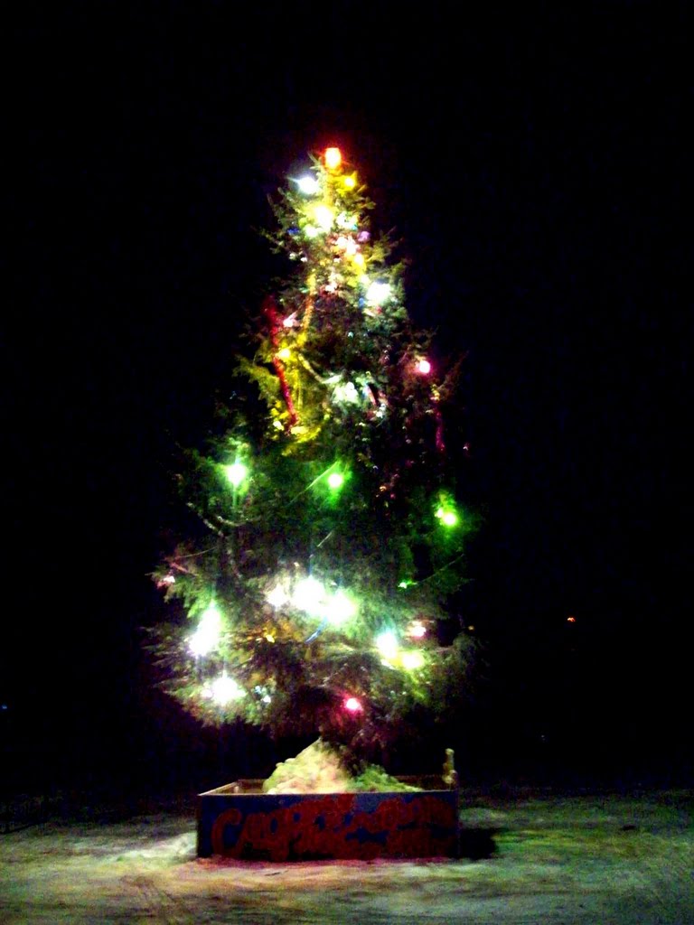 С НОВЫМ 2011-м ГОДОМ !!! HAPPY NEW YEAR 2011 !!!