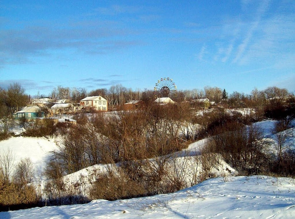 1) Колесо - январь 2011г.