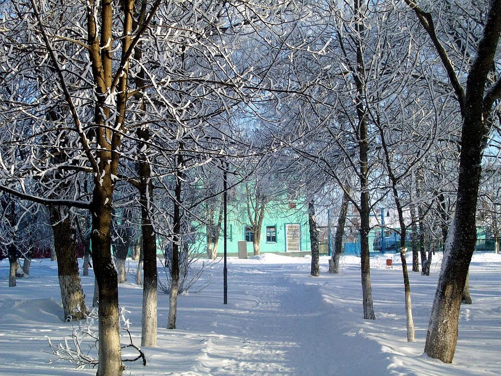 Парковая аллея вид на ПТУ - 37 - январь 2011г.