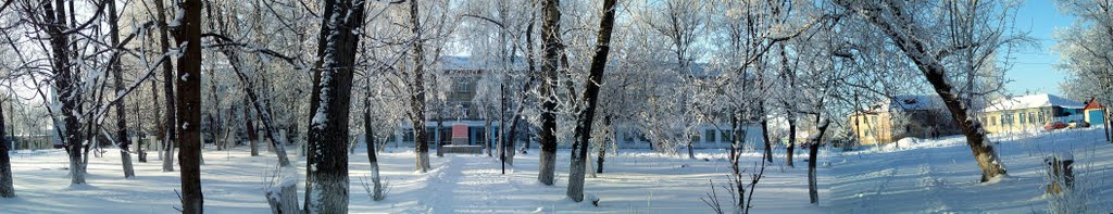 Аллея к школе - январь 2011г. Панорама