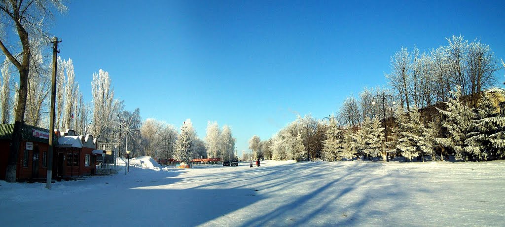 Площадь - январь 2011г.