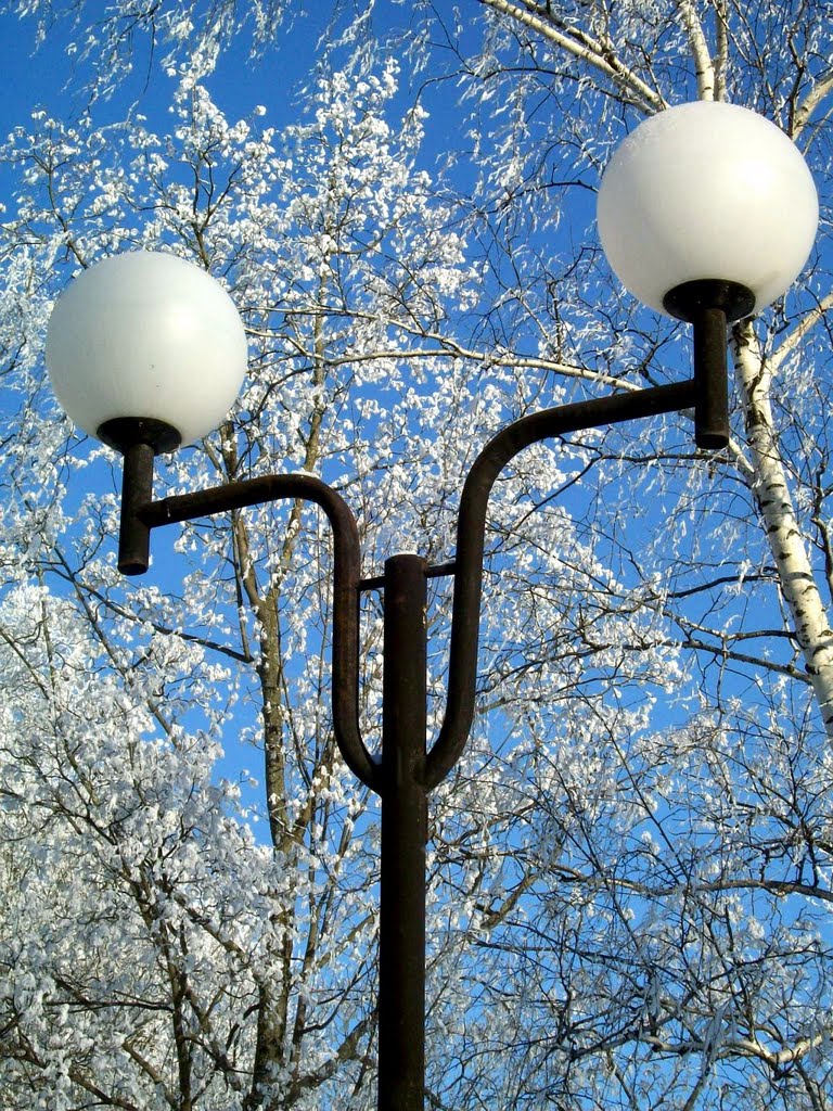 Фонарь в парке - январь 2011г.