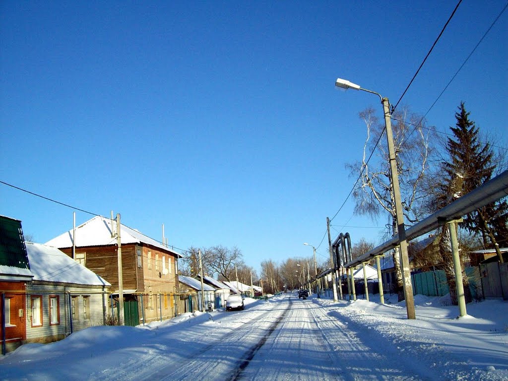 ул.Ленина - январь 2011г.