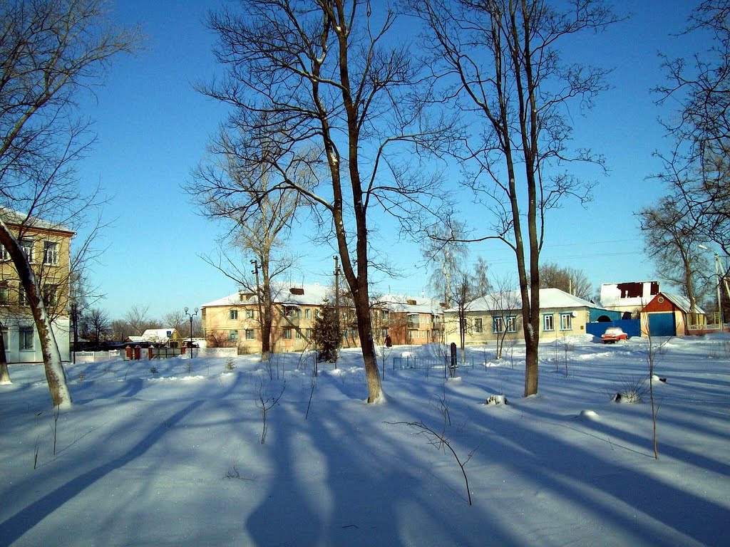 Парк - январь 2011г.