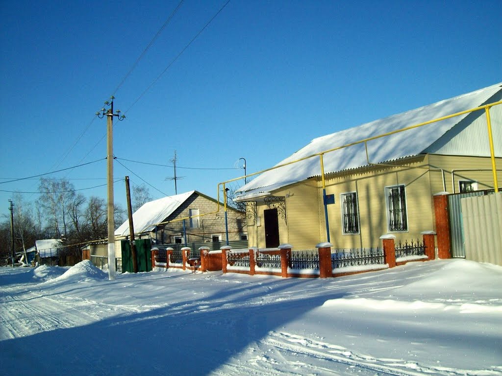 ул.Профсоюзная январь 2011г.
