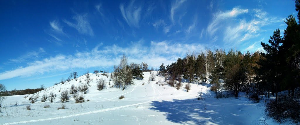 Зимняя панорама февраль 2011г. Winter panorama