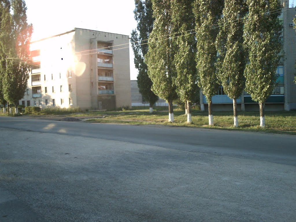улица по дороге на Мини-рынок / Street on the way to Mini-market
