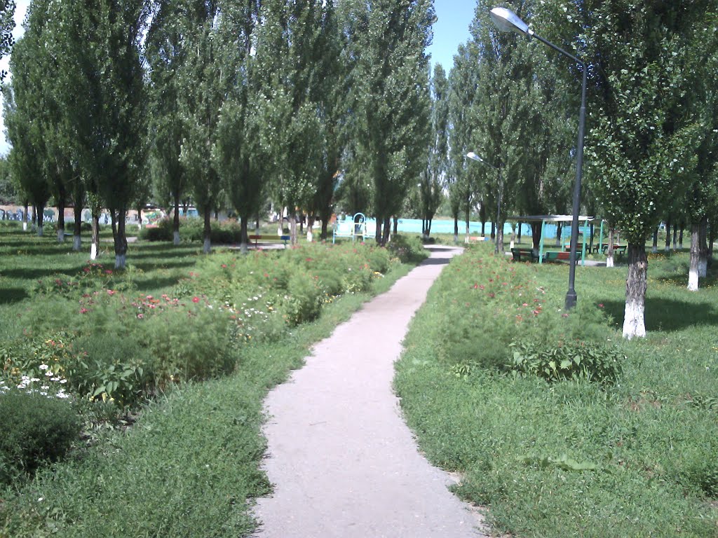 Парк с тополями / Park with poplars