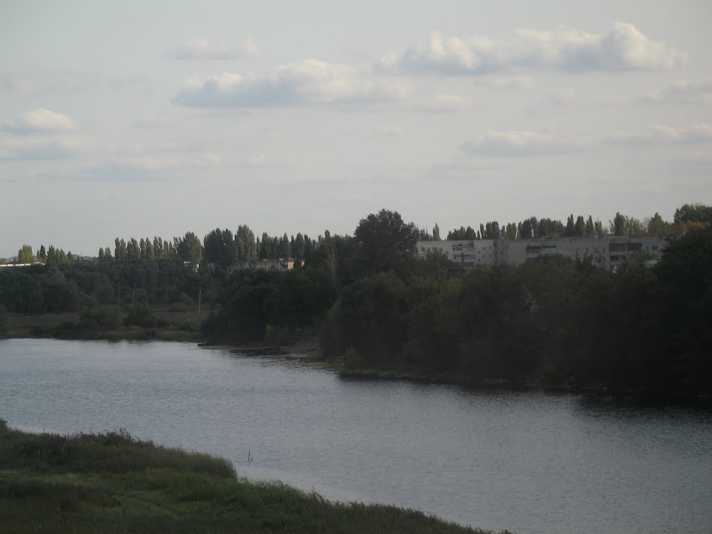 река Матыра (вид из поезда)