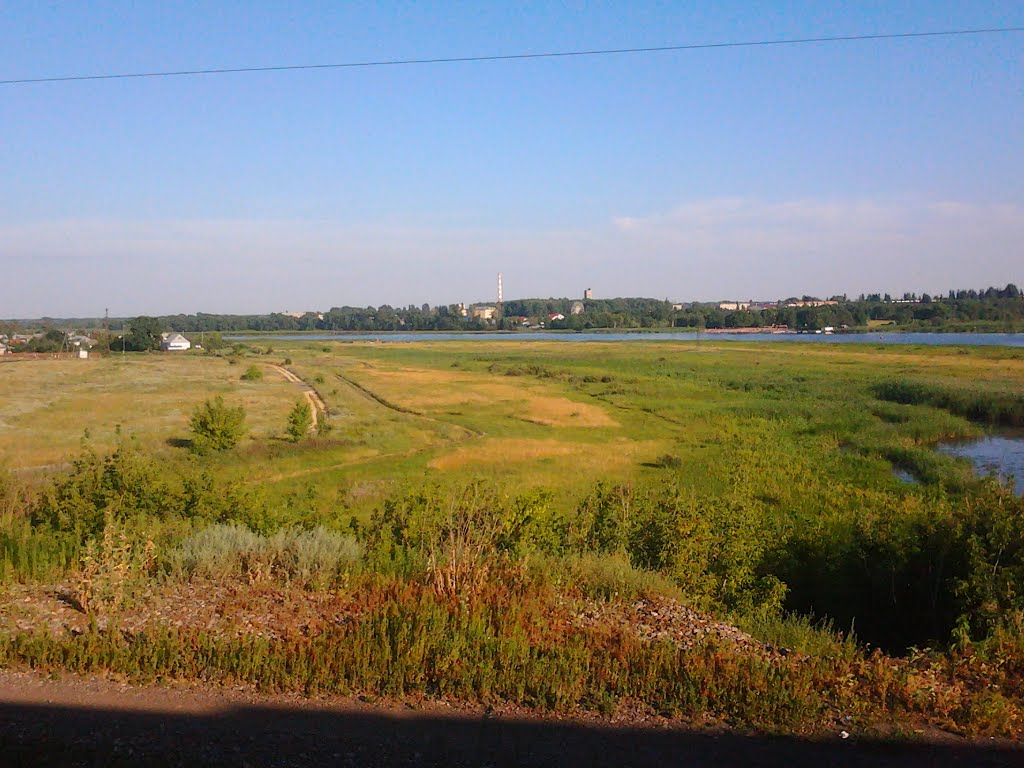 заливной луг