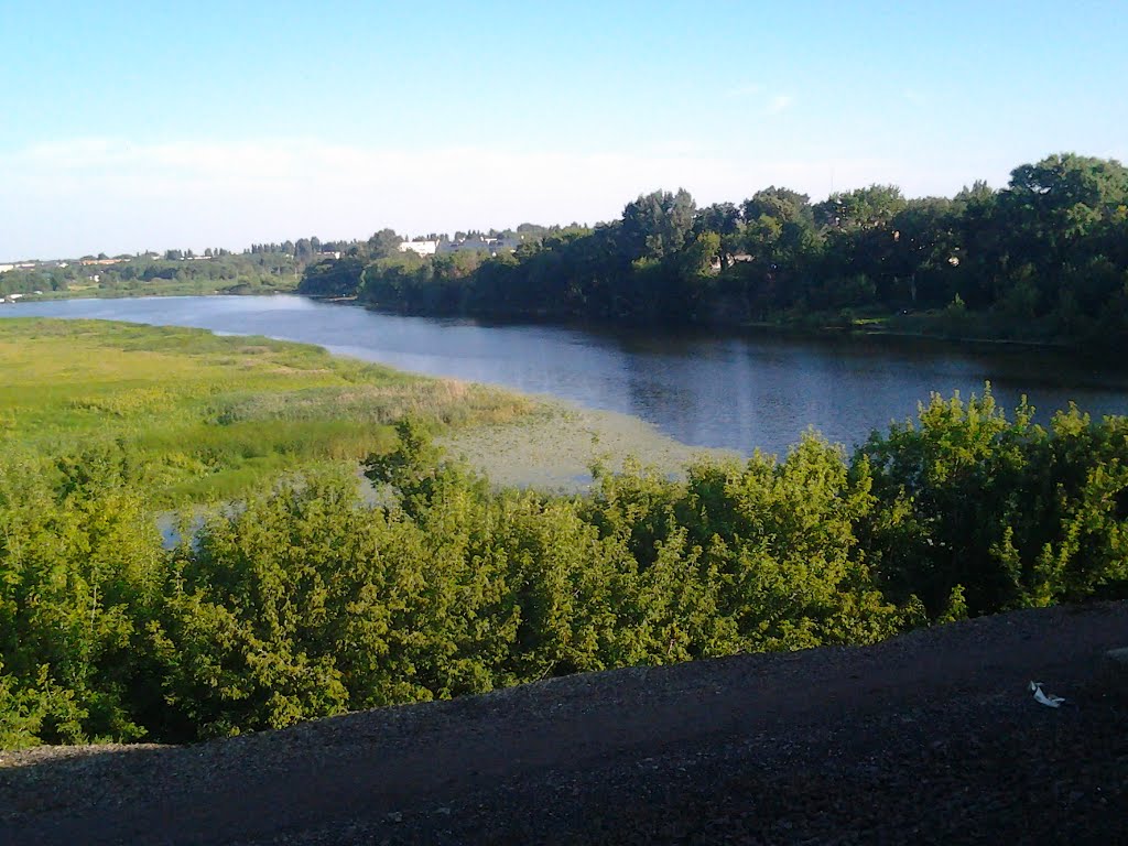 река Матыра под городом Грязи