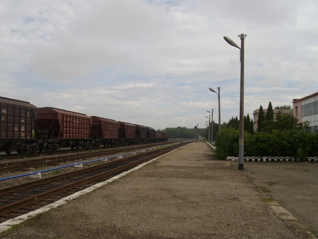 Станция Данков