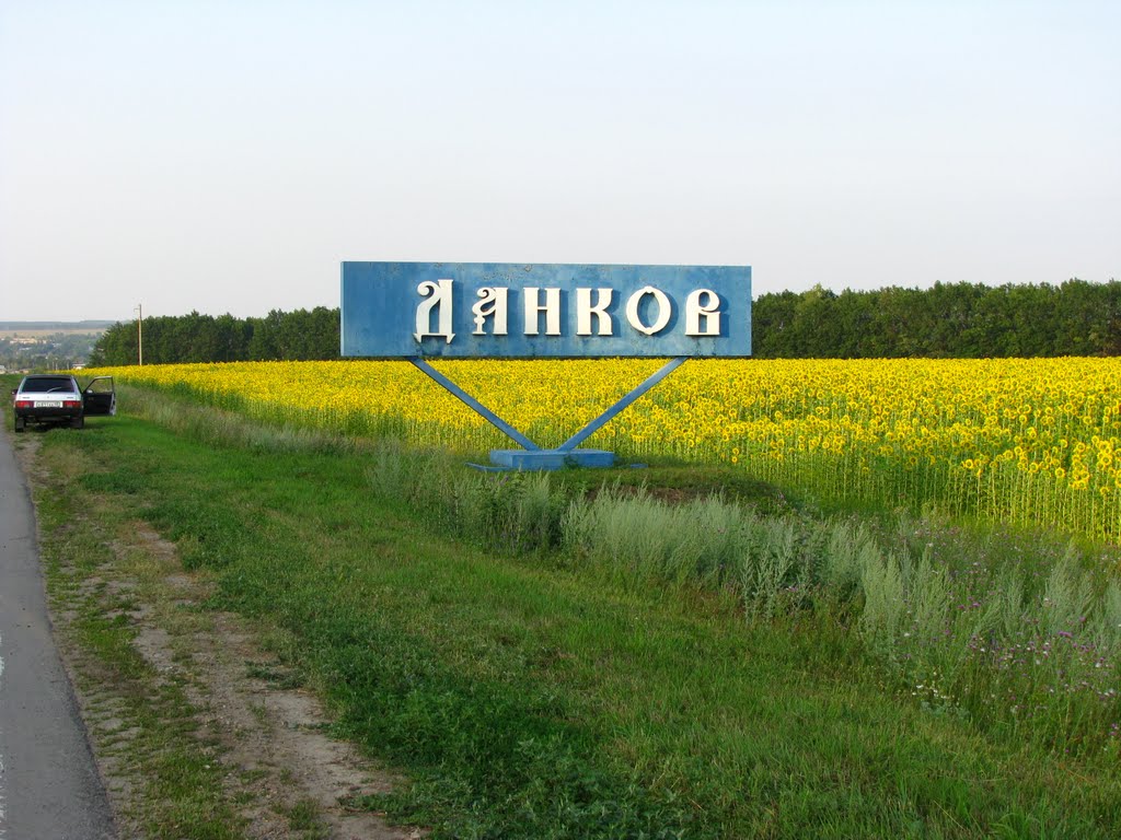 Entry to the Dankov