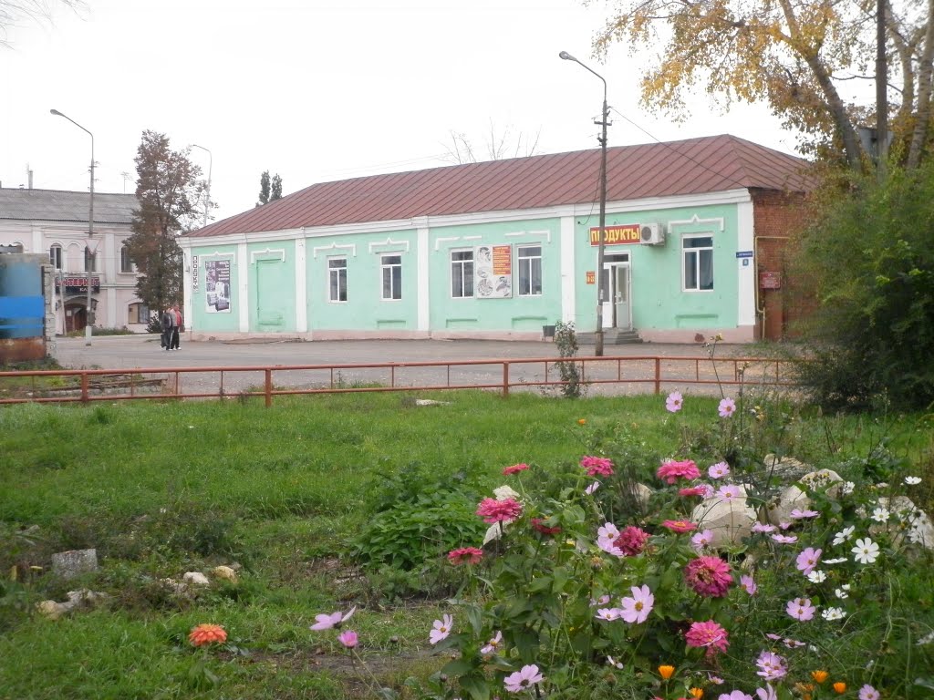 Магазин на улице Вермишева