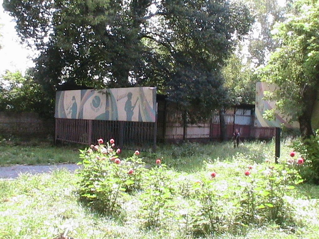 В верхнем парке 2