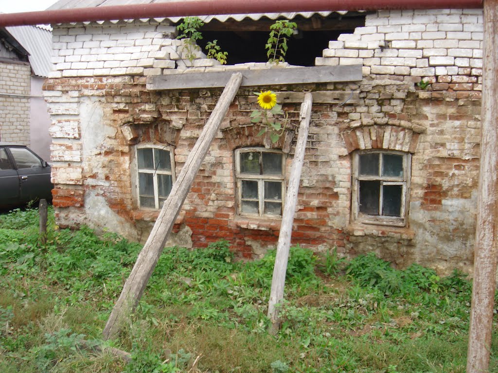 Ул. Ватутина 2005