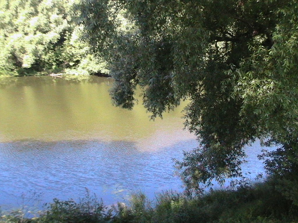 Лето на Дону